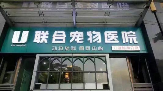 深圳市联合宠物医院动物园分院有限公司