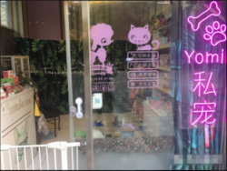 北京朝阳YOMI百子湾宠物店