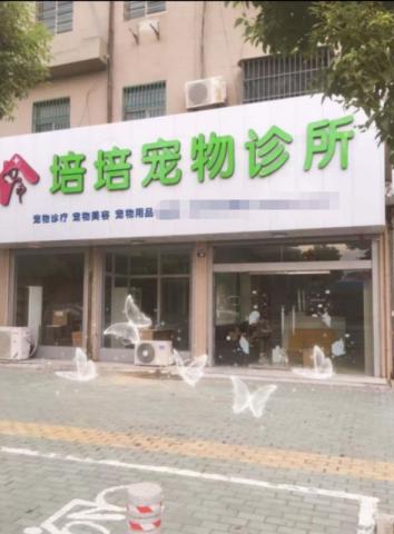 宁波培培宠物诊所